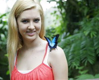 Australian Butterfly Sanctuary