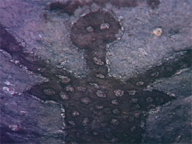  Gold Coast Attractions