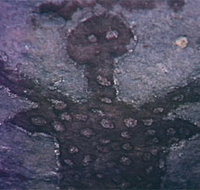 Quinkan Reserves Ancient Rock Art - Gold Coast Attractions