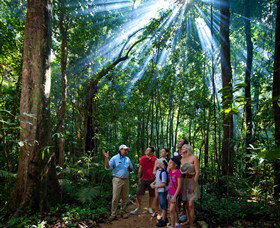 Mossman Gorge Centre - Gold Coast Attractions 3