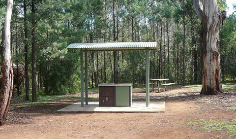 Jacks Creek Walking Track - Gold Coast Attractions 1