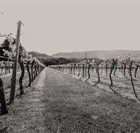 Halls Gap Estate - Gold Coast Attractions
