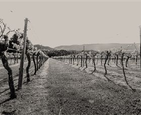 Halls Gap Estate - Gold Coast Attractions 0