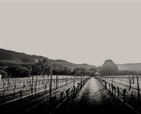 Halls Gap Estate - Gold Coast Attractions 1