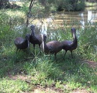 East Tolans Farm Tour - Gold Coast Attractions