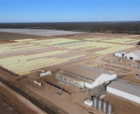 Leeton NSW Gold Coast Attractions