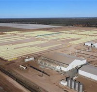 Southern Cotton Gin - Gold Coast Attractions