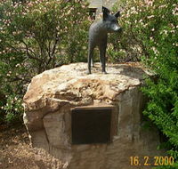 Dingo Statue - Gold Coast Attractions
