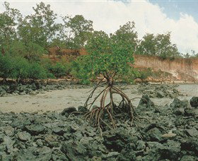 Garig Gunak Barlu National Park - Gold Coast Attractions 3