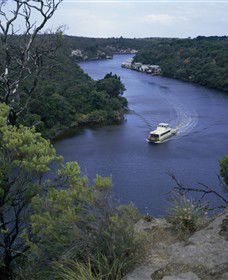  Gold Coast Attractions