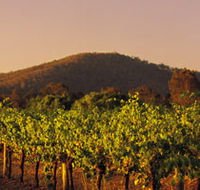 Taltarni Vineyards - Gold Coast Attractions