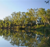 iWaterSki - Gold Coast Attractions