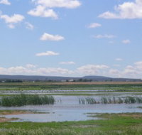 Fivebough Wetlands - Gold Coast Attractions