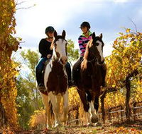 Billabong Ranch - Gold Coast Attractions
