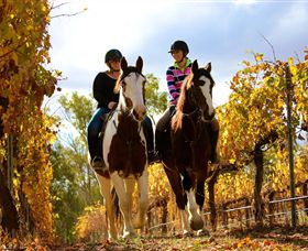 Billabong Ranch - Gold Coast Attractions 0