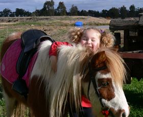 Billabong Ranch - Gold Coast Attractions 1