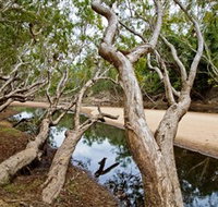 Oyala Thumotang National Park CYPAL - Gold Coast Attractions