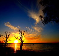 Lake Cowal - Gold Coast Attractions