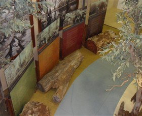 Barmah Forest Heritage And Education Centre - Gold Coast Attractions 4