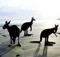 Hibiscus Coast - Gold Coast Attractions