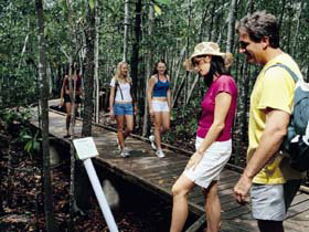 Hibiscus Coast - Gold Coast Attractions 3