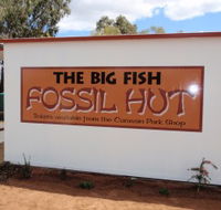 Big Fish Fossil Hut at Peak Hill - Gold Coast Attractions