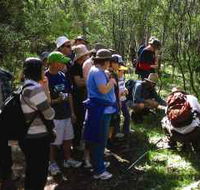 Warrumbungle National Park Discovery Program - Gold Coast Attractions
