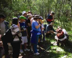 Warrumbungle National Park Discovery Program - Gold Coast Attractions 0