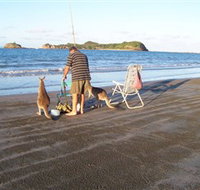 Cape Hillsborough National Park - Gold Coast Attractions