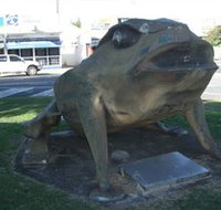 Big Cane Toad - Gold Coast Attractions