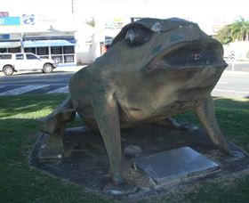Big Cane Toad - Gold Coast Attractions 0