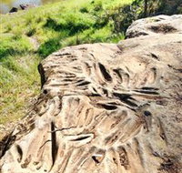 Terramungamine Rock Grooves - Gold Coast Attractions