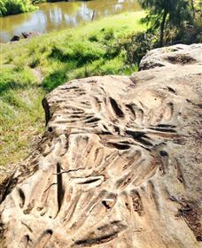 Terramungamine Rock Grooves - Gold Coast Attractions 0