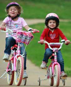 Tracker Riley Cycleway - Gold Coast Attractions 1