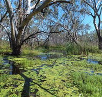 Macquarie Valley Trails - Gold Coast Attractions