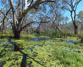 Macquarie Valley Trails - Gold Coast Attractions 0