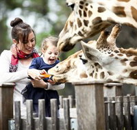 Taronga Western Plains Zoo Dubbo - Gold Coast Attractions