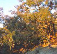 Mount Alexander Regional Park - Gold Coast Attractions