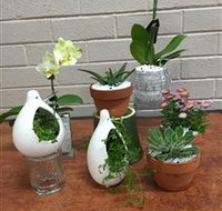 Cobram Florist - Gold Coast Attractions