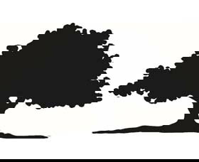 Ariah Park 1920s Heritage Village - Gold Coast Attractions 3