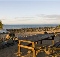 Dolphin Heads - Gold Coast Attractions