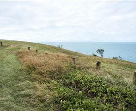 Cape Palmerston National Park - Gold Coast Attractions 3