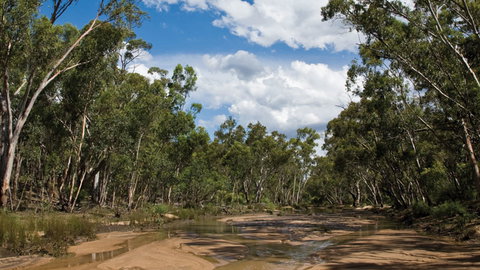 Pilliga National Park - Gold Coast Attractions 2