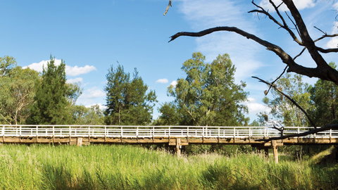 Pilliga National Park - Gold Coast Attractions 3