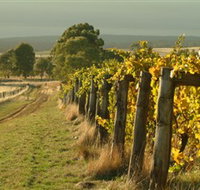 Captains Creek Organic Wines - Gold Coast Attractions