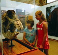 Australian Museum Diprotodon Exhibition - Gold Coast Attractions