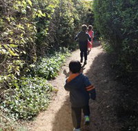 The Tangled Maze  Mistydowns Nursery - Gold Coast Attractions