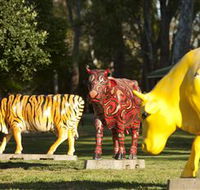 Greater Shepparton's Moooving Art - Gold Coast Attractions