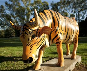 Greater Shepparton's Moooving Art - Gold Coast Attractions 1
