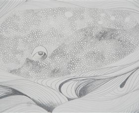 Whale Bone Gallery - Gold Coast Attractions 5